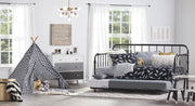 Little Seeds Monarch Hill Wren Metal Daybed with Trundle - Black - Twin