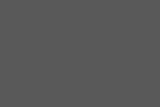 Little Seeds Rowan Valley Forest Loft Bed - Gray - Twin
